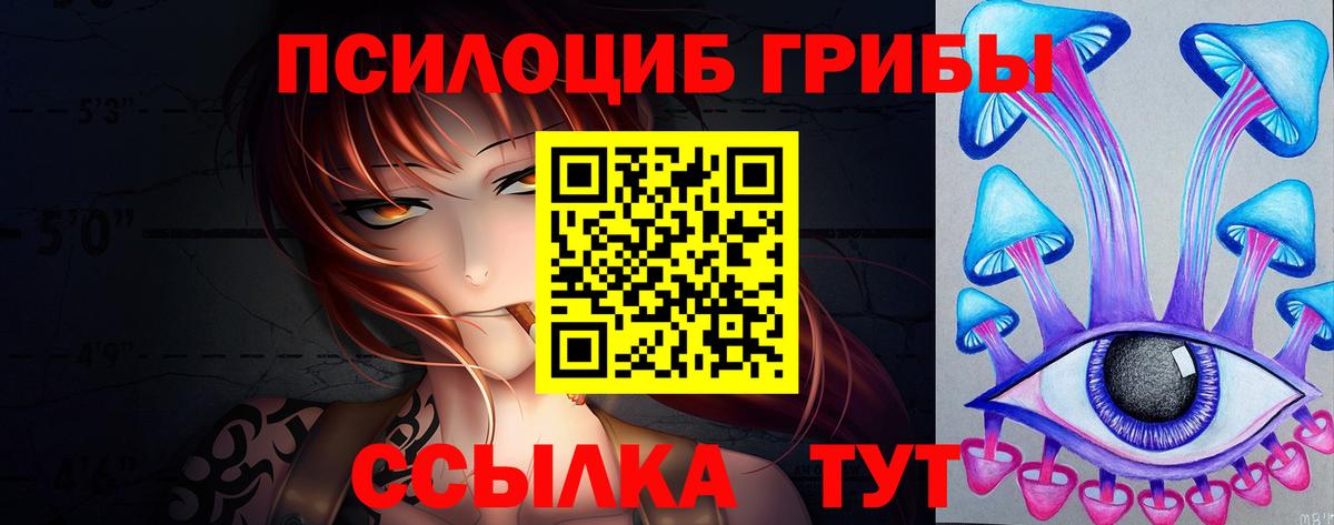 Псилоцибиновые грибы мицелий Котовск