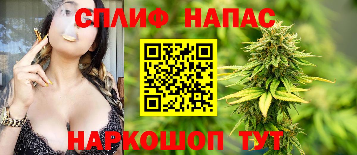 Альфа ПВП Котовск